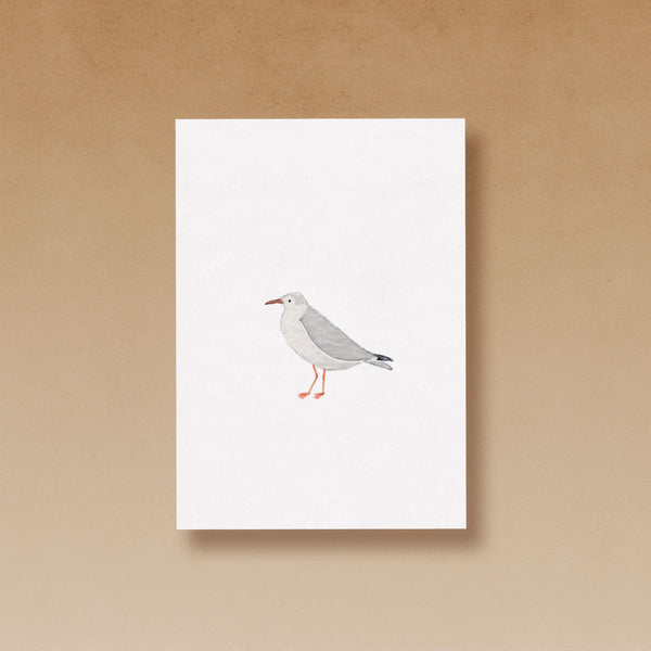 Lachmöwe im Winterkleid | Postkarte