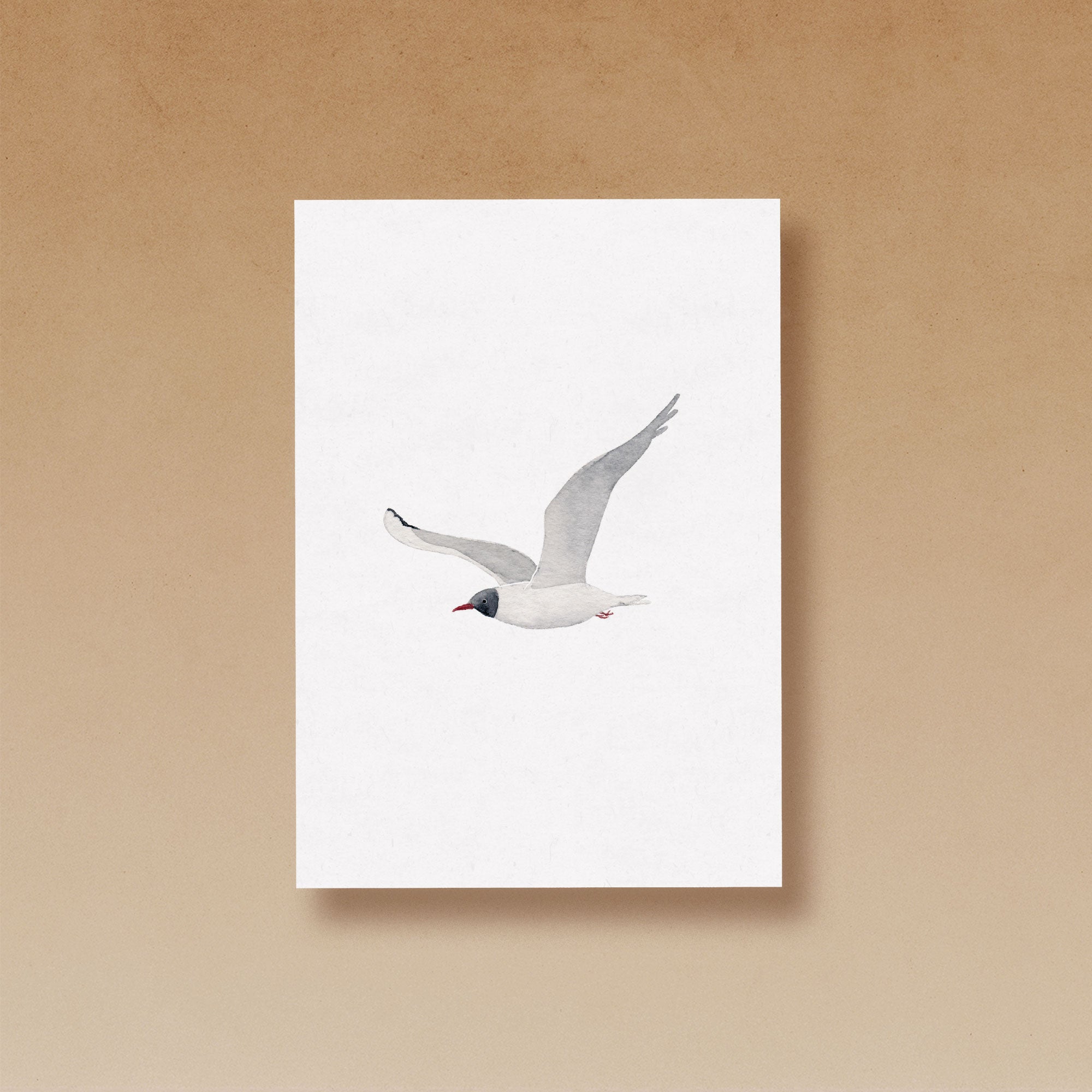 birds by the sea | Kartenset 8-teilig