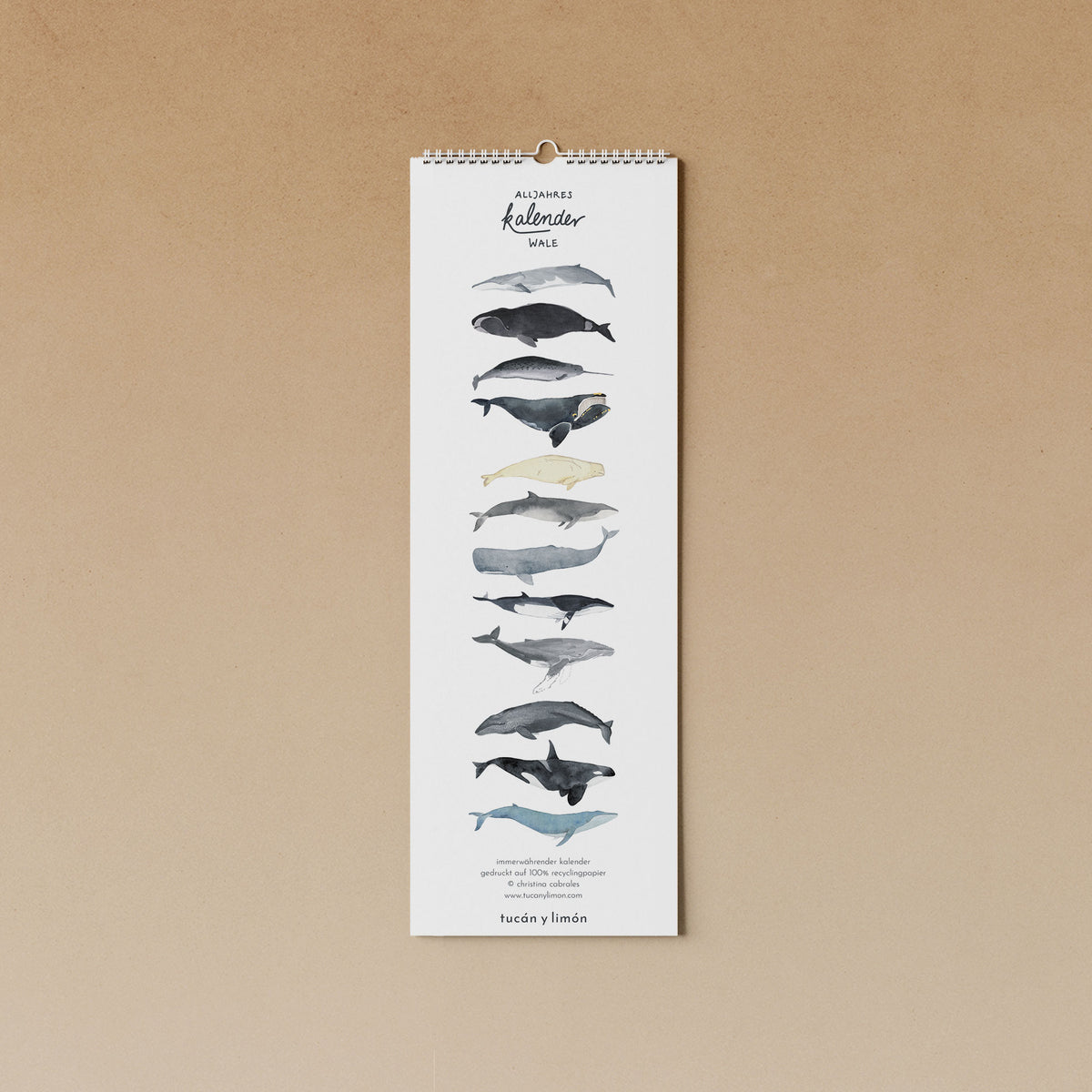 Immerwährender Kalender Nordsee Immerwährender Kalender Nordsee
