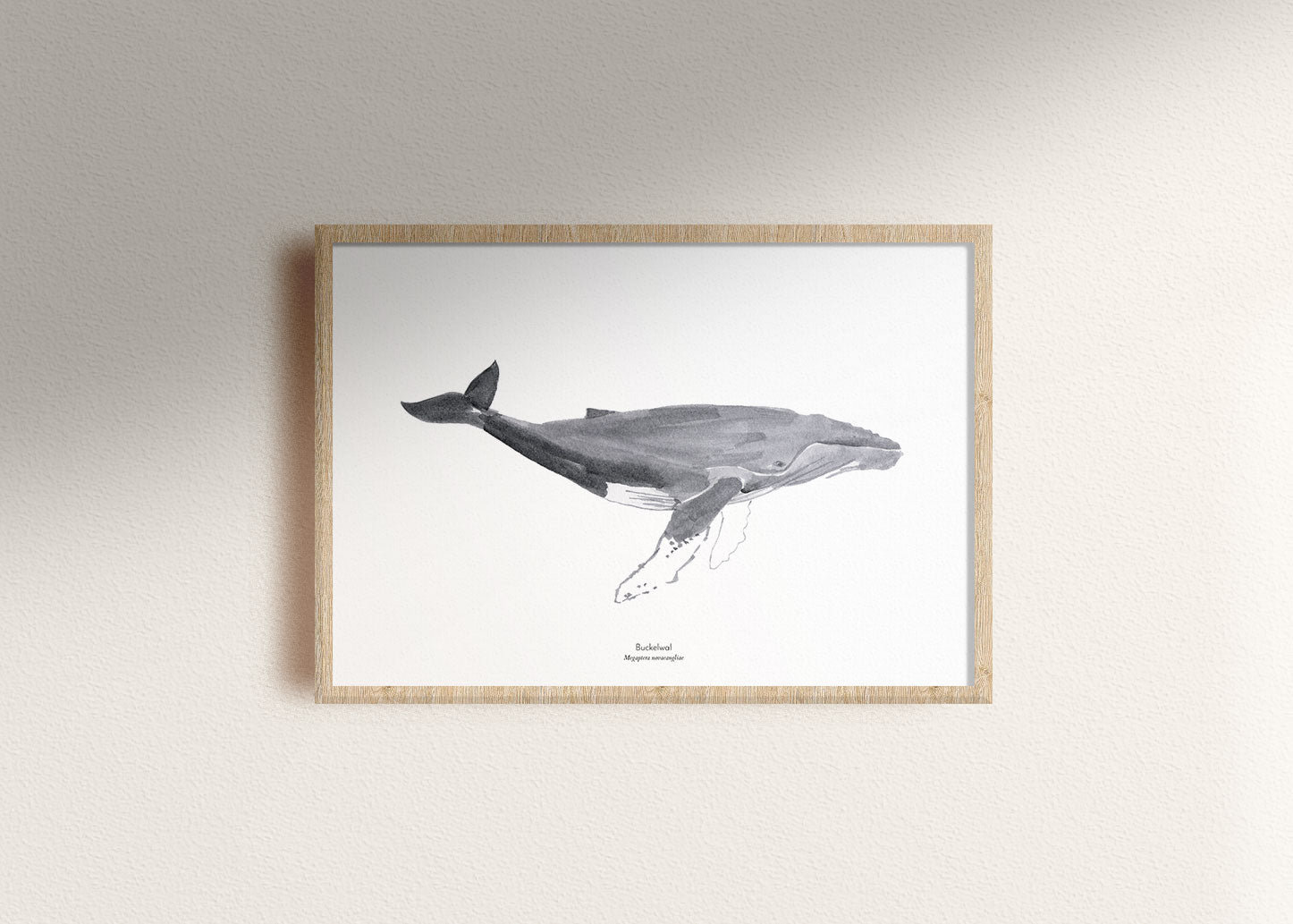Whale | Print 30x40