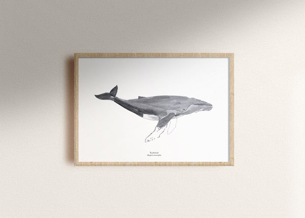 Wal Kunstdruck 30x40