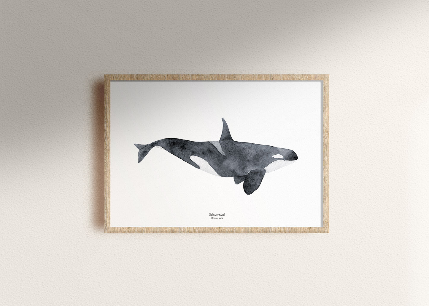 Whale | Print 30x40