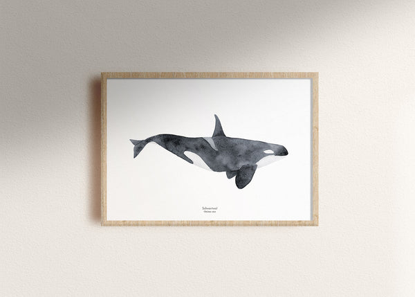 Wal Kunstdruck 30x40